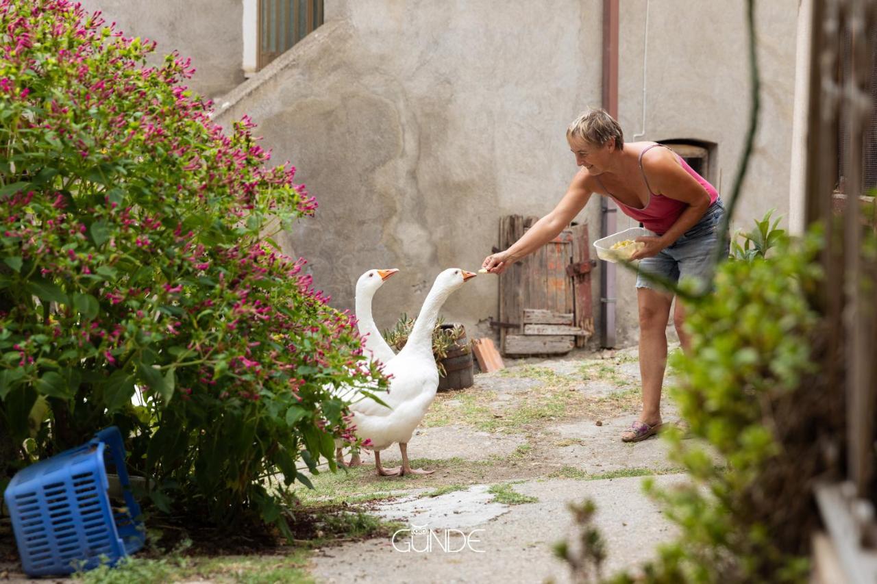 La Casa Contadina Nel Paese Delle Fiabe Apartamento Roccalvecce Exterior foto